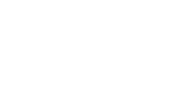 Northwest Equipment Logo Light